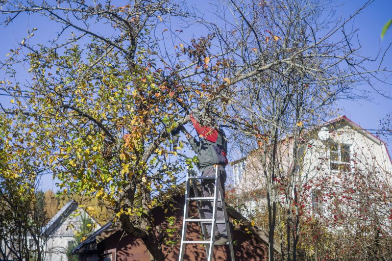 Commercial Tree Service